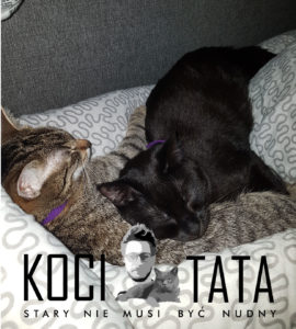 blog o kotach